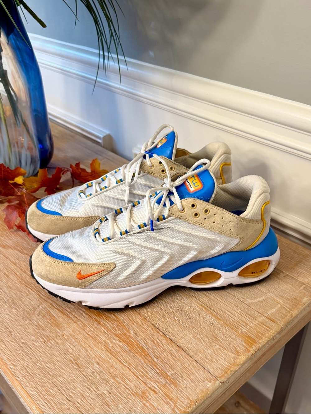 Nike Men’s TW Air Max shoes